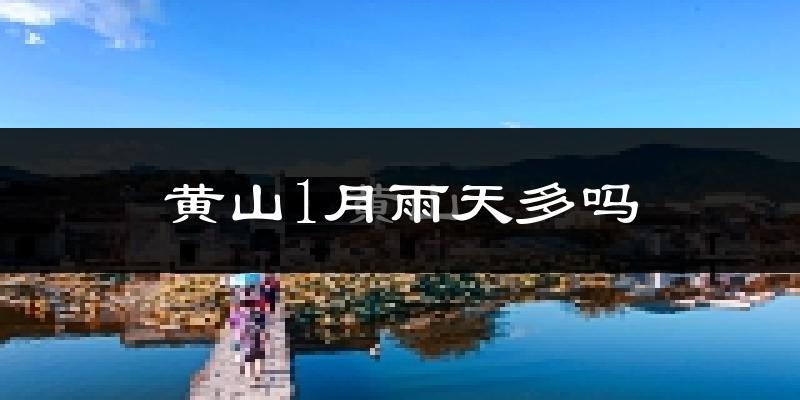 黄山1月雨天多吗?