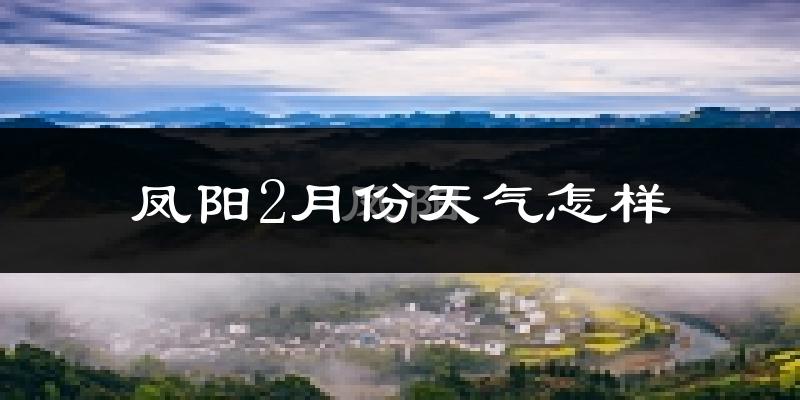 凤阳县2月份天气如何?冷吗?过去两年天气数据分析