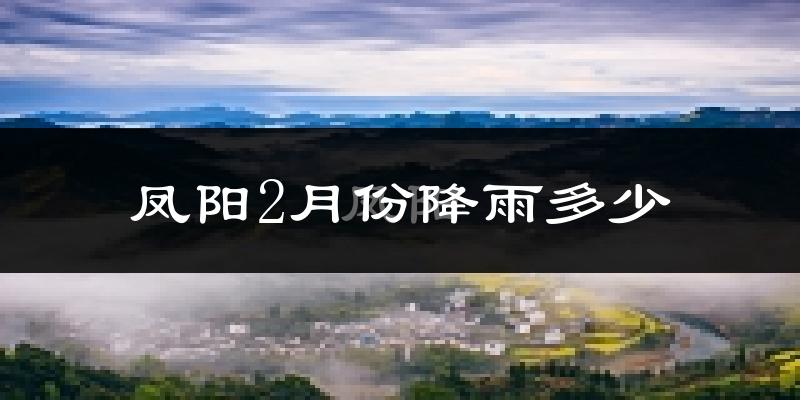 凤阳2月份降雨多少?