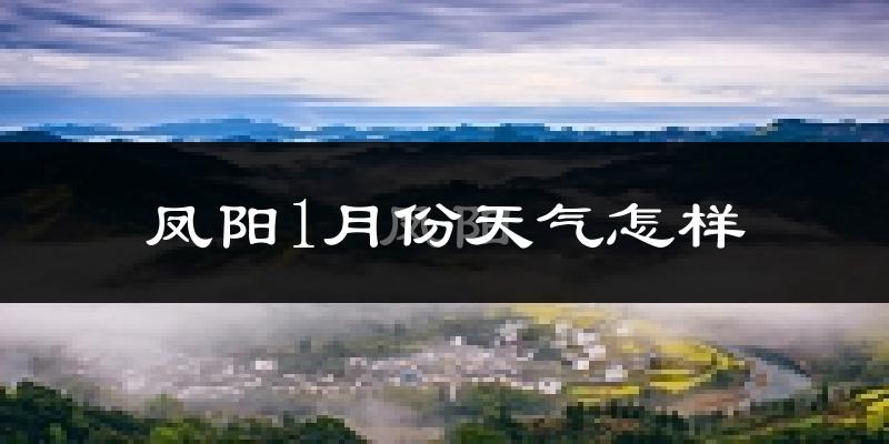 凤阳县1月份天气如何?很冷吗?