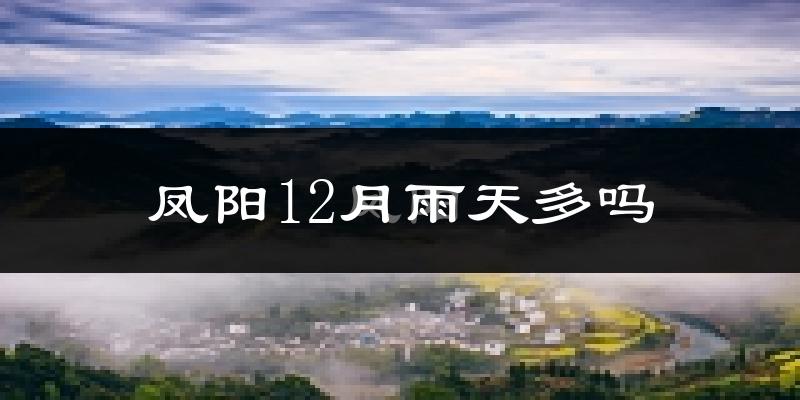 凤阳12月雨天多吗?