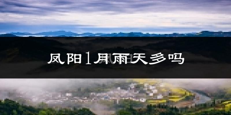 凤阳1月雨天多吗?