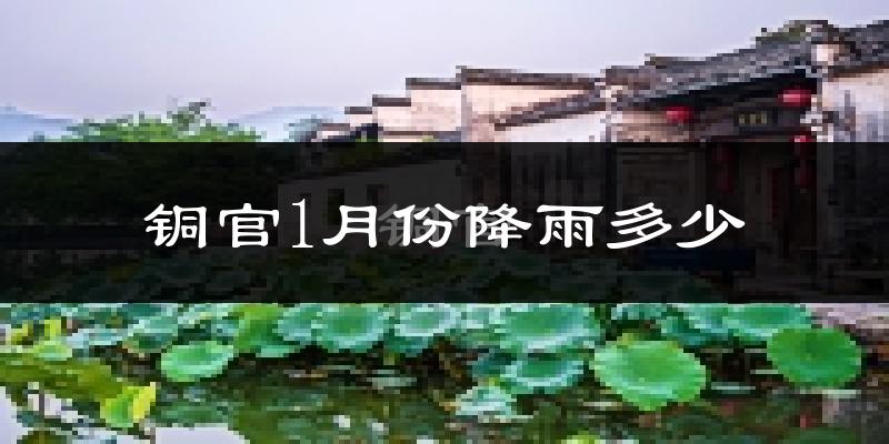铜官1月份降雨多少?