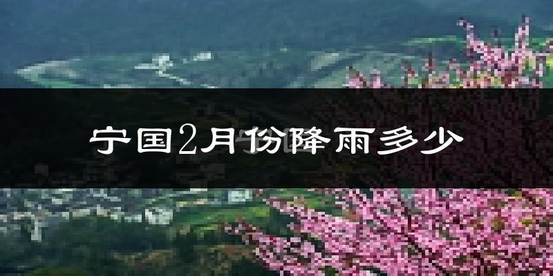宁国2月份降雨多少?