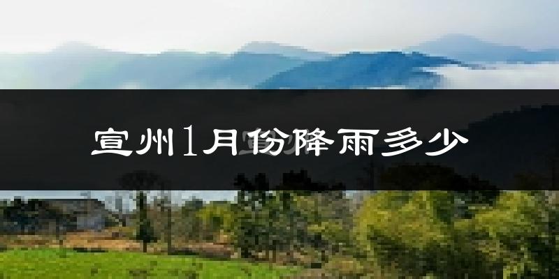 宣州1月份降雨多少?