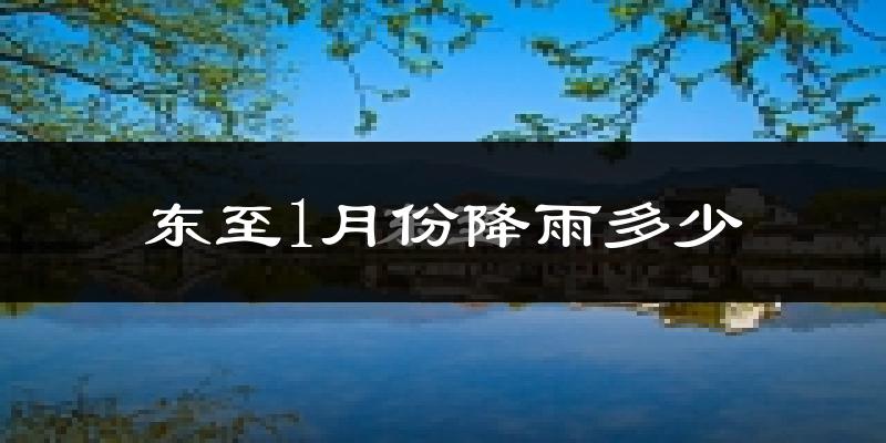 东至1月份降雨多少?