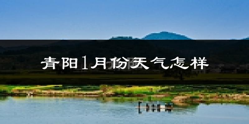 青阳县1月份天气如何?很冷吗?