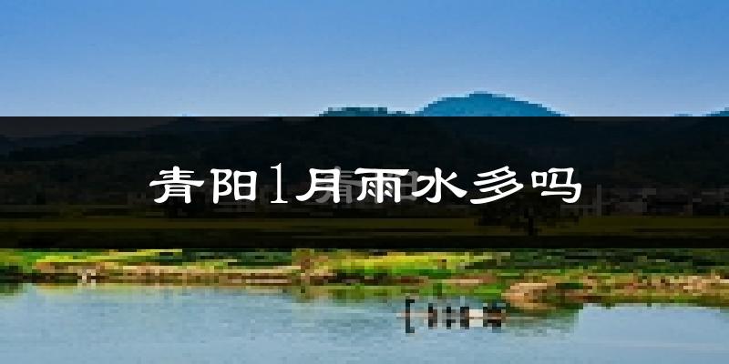 青阳1月雨水多吗?