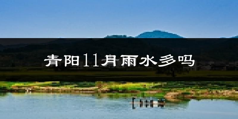 青阳11月雨水多吗?