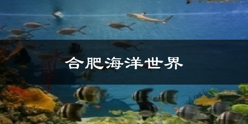 合肥合肥海洋世界天气预报未来一周