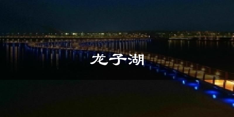 龙子湖天气预报十五天
