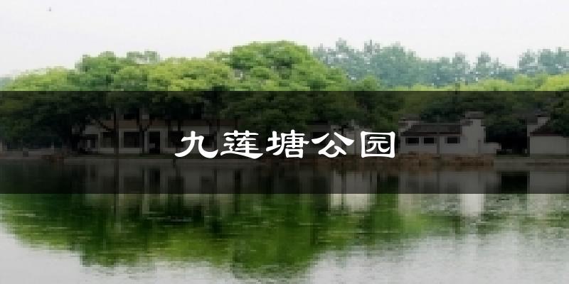芜湖九莲塘公园天气预报未来一周