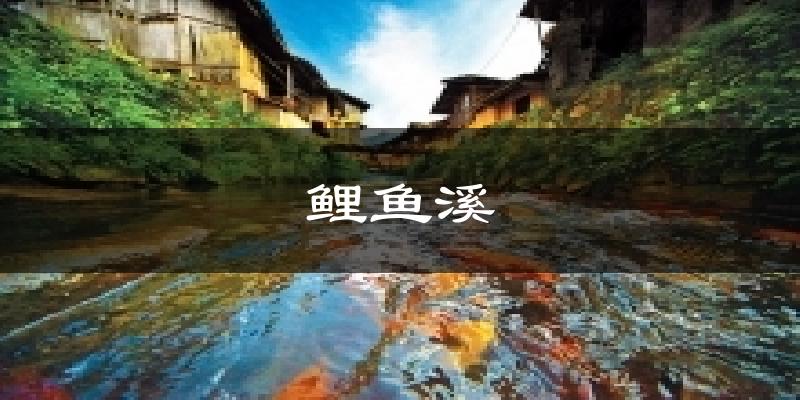 鲤鱼溪天气预报十五天