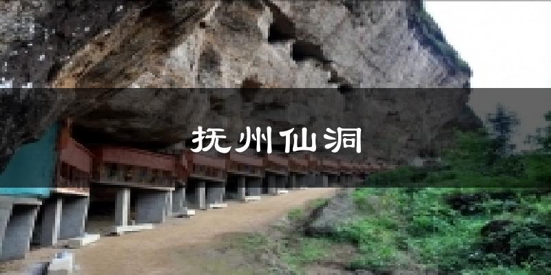 抚州仙洞天气预报十五天