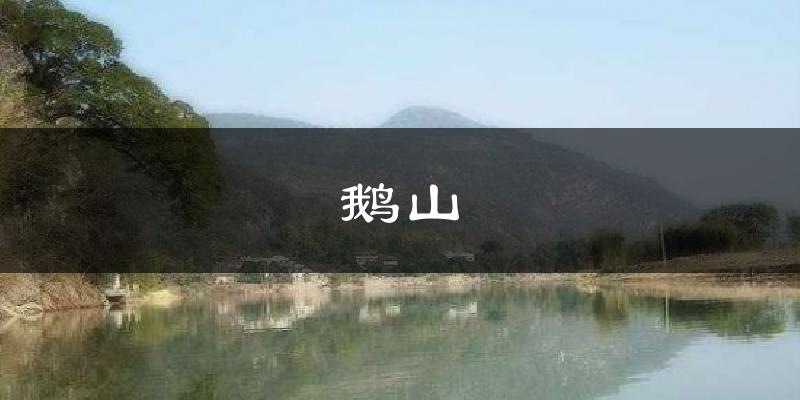 鹅山天气预报十五天