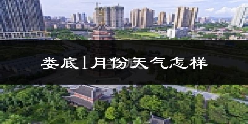 娄底市1月份天气如何?很冷吗?