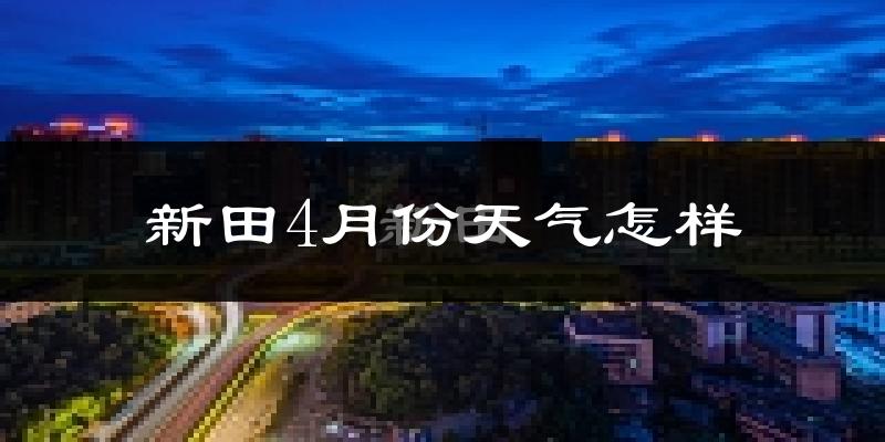新田县4月份天气如何?冷热情况怎么样?