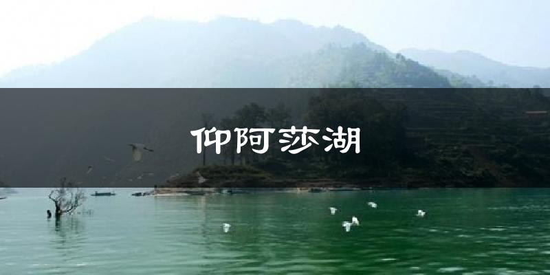 仰阿莎湖天气预报十五天