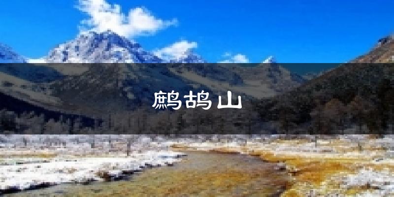 鹧鸪山天气预报十五天