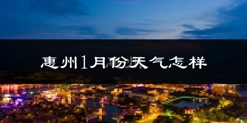 惠州1月份天气如何?冷吗?
