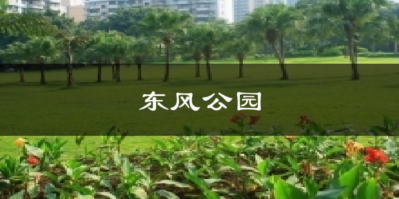 东风公园天气预报十五天