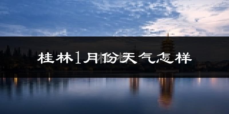 桂林市1月份天气如何?天气冷吗?