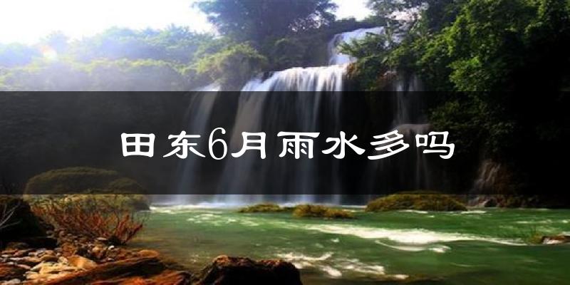 田东6月雨水多吗?