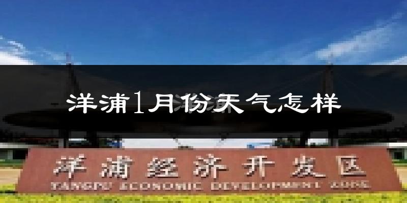 洋浦开发区1月份天气如何?冷吗?