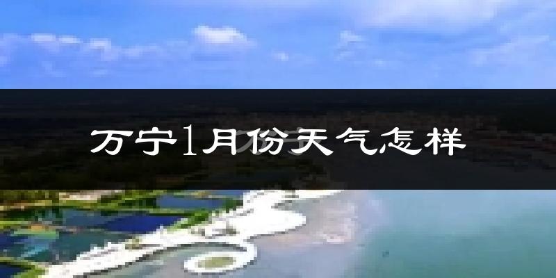 万宁市1月份天气如何?冷吗?