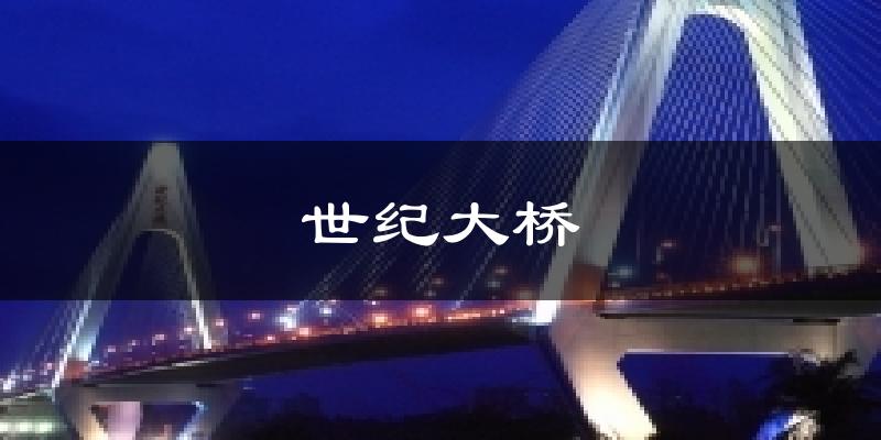 世纪大桥天气预报十五天